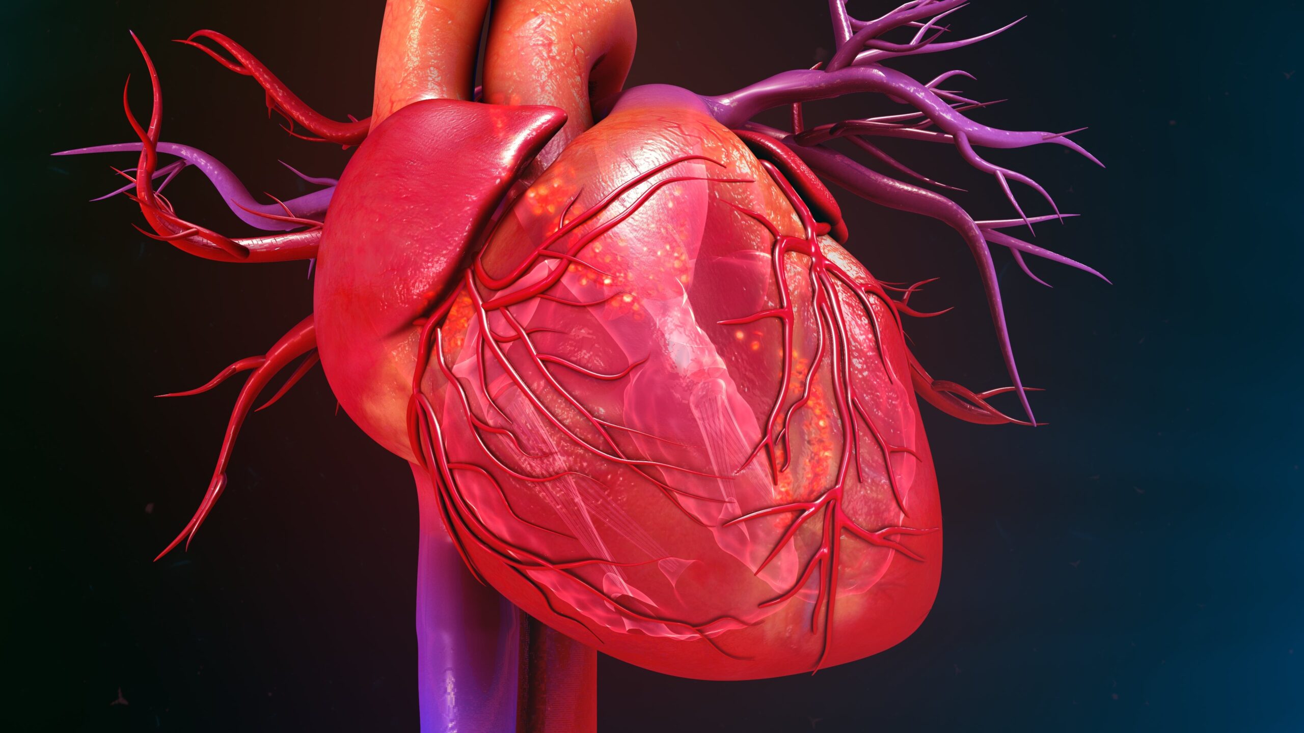 Heart Health: Long-term Management Strategies for Chronic Conditions